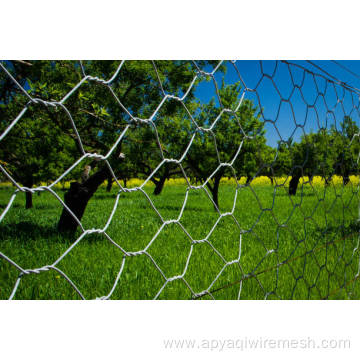 Galvanized Poultry Fence Hexagonal Wire Mesh
